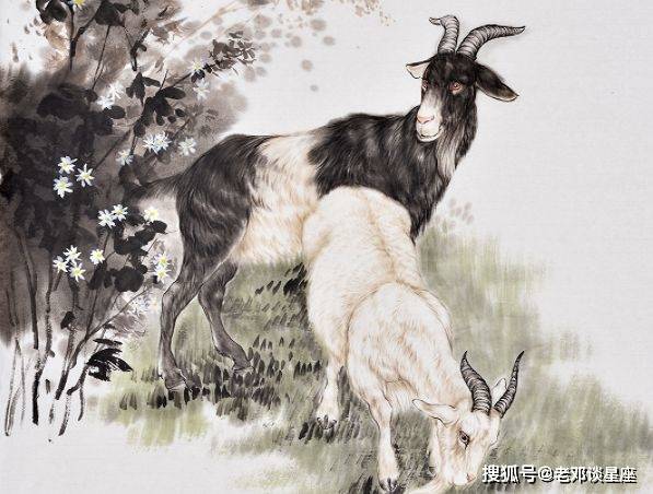 隔断红尘忠心职守金蛇狂舞懒羊毫是什么生肖,警惕虚假宣传落实,专家解答解释落实